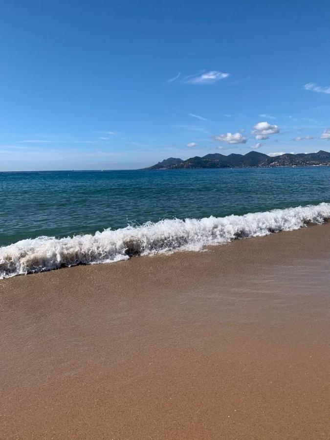 Cannes Old Port, Seafront & Seaview, Yacht Show Port 외부 사진