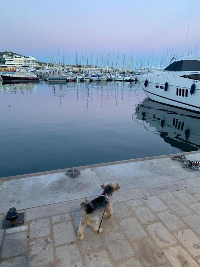 Cannes Old Port, Seafront & Seaview, Yacht Show Port 외부 사진